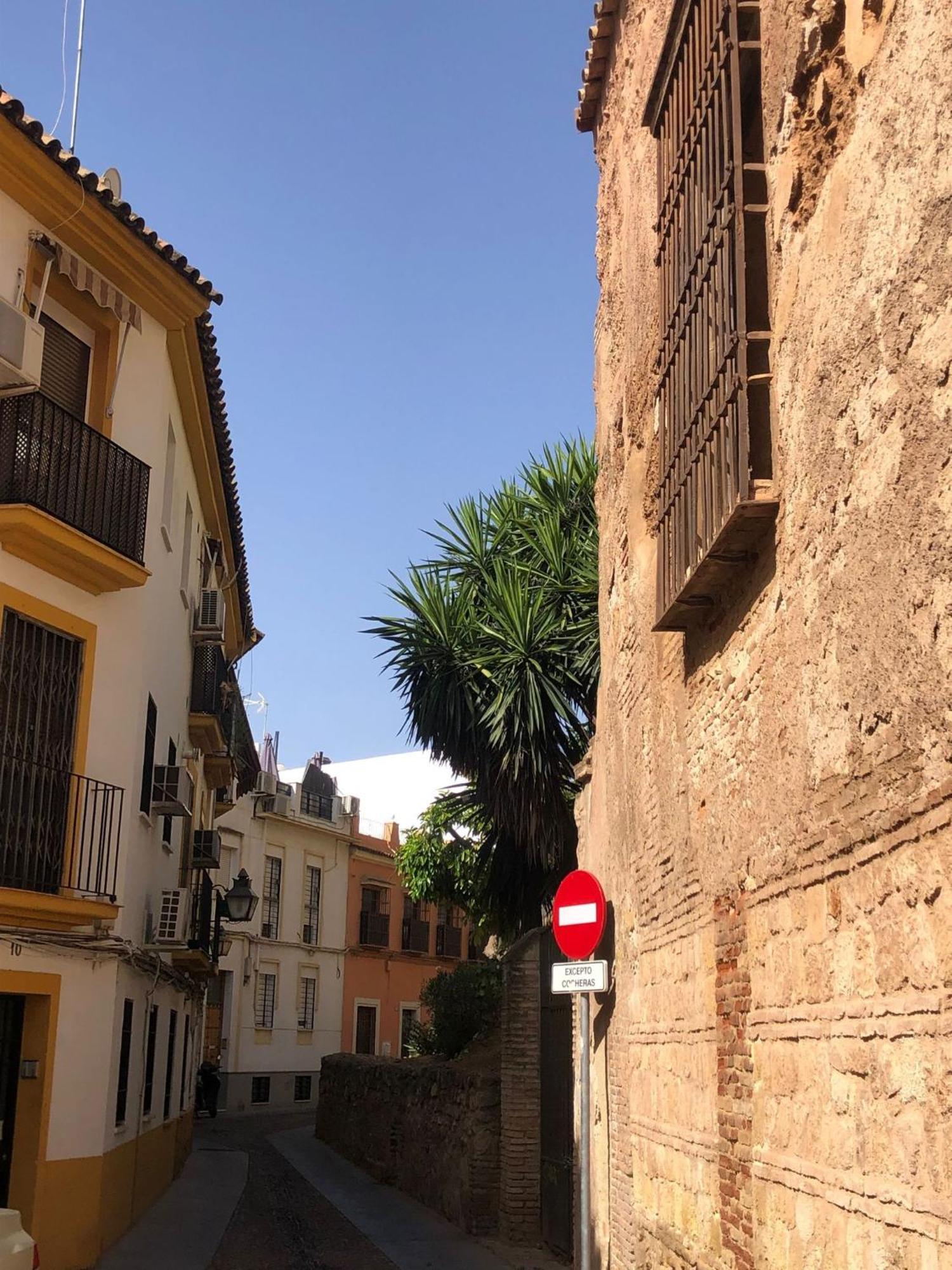 Apto Familiar Balcones A La Muralla Κόρδοβα Εξωτερικό φωτογραφία